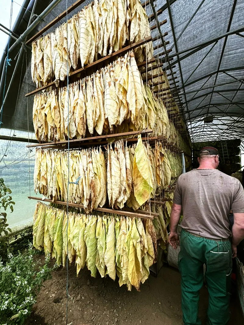 Trockengestell fortgeschritten