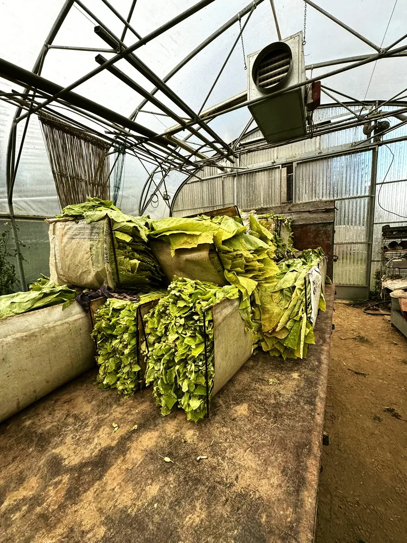 Fermentation mit lüfter