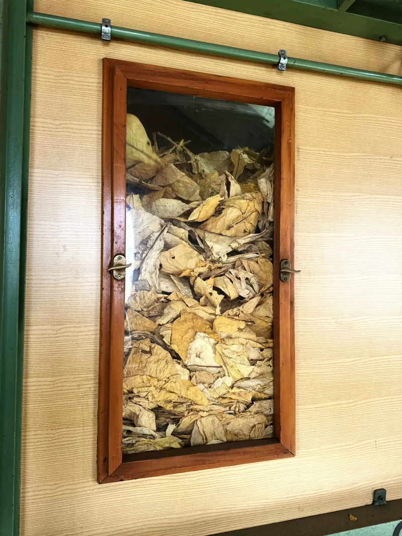 Schaufenster gelbe blätter