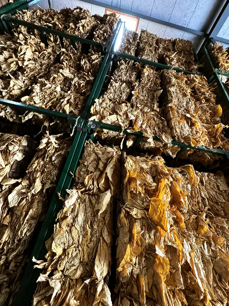 Lagergestelle gelb oben
