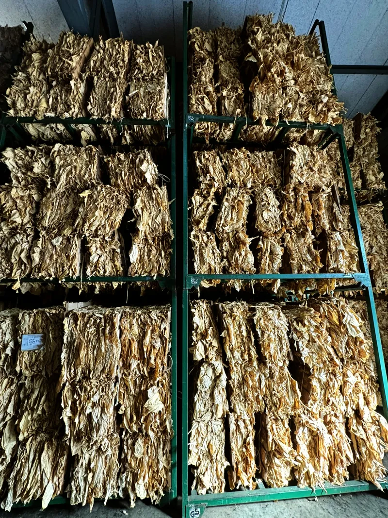 Lagergestelle gelb frontal