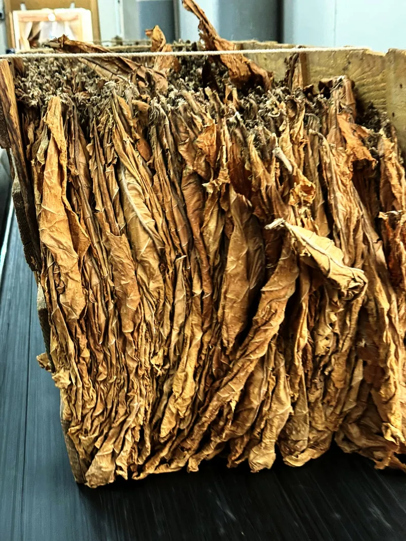 Fermentationskiste kupfer