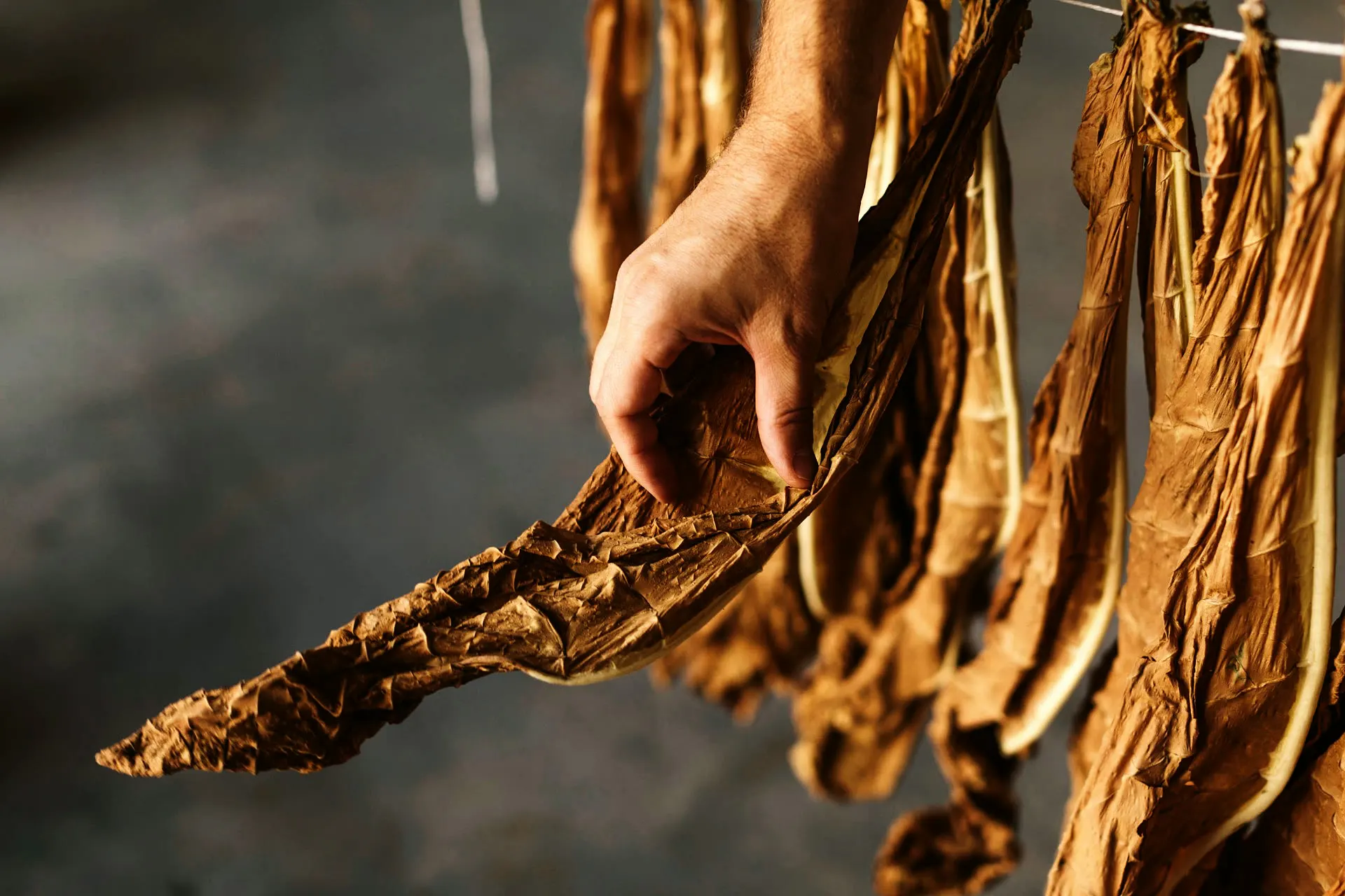 Umsetzen der Stapel - Handarbeit, Blatt für Blatt