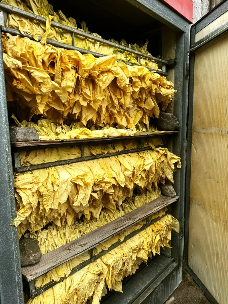 Trockenschrank gelb