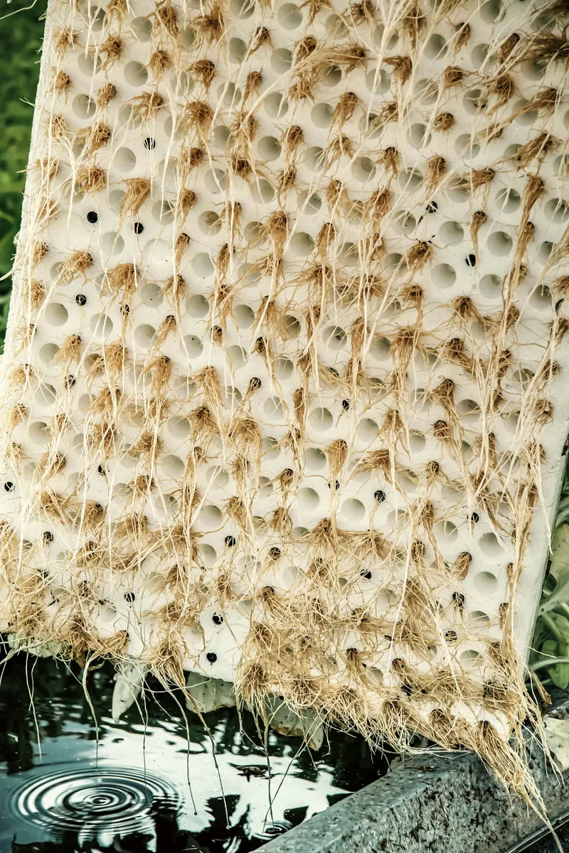 Wurzelteppich styropor