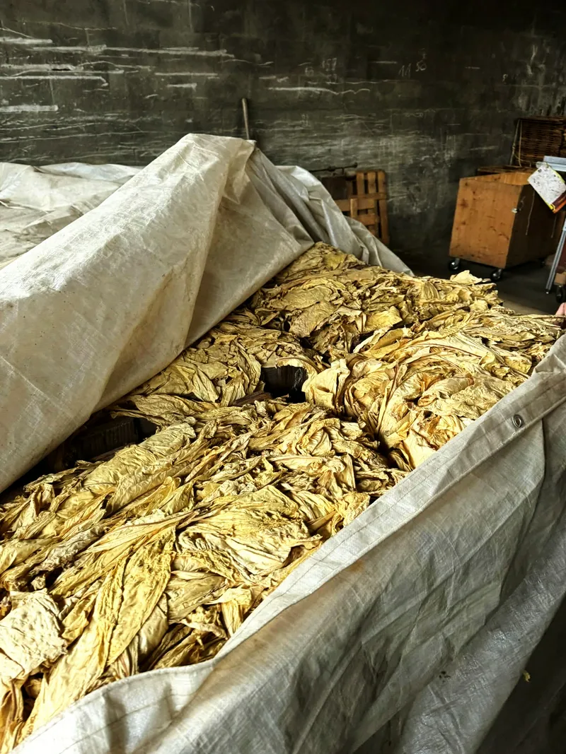 Blattschichtung im sack