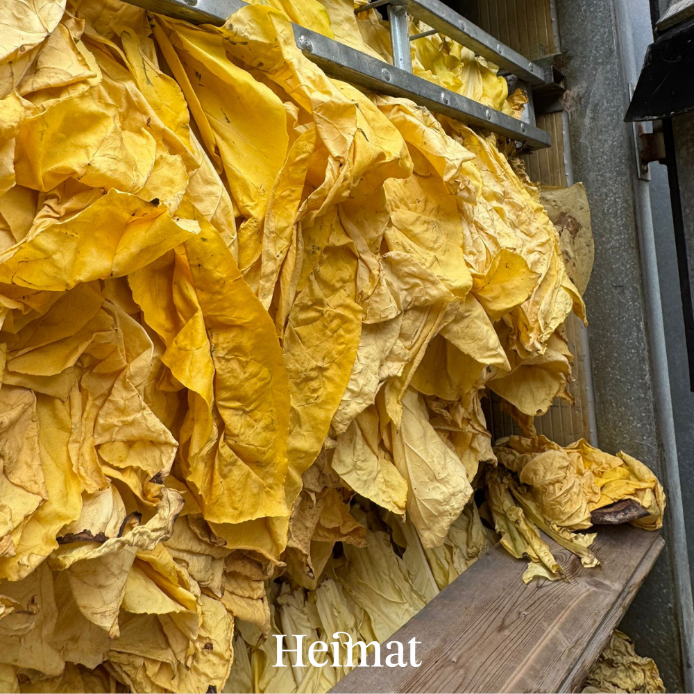 Heimat MYO Hell 250g