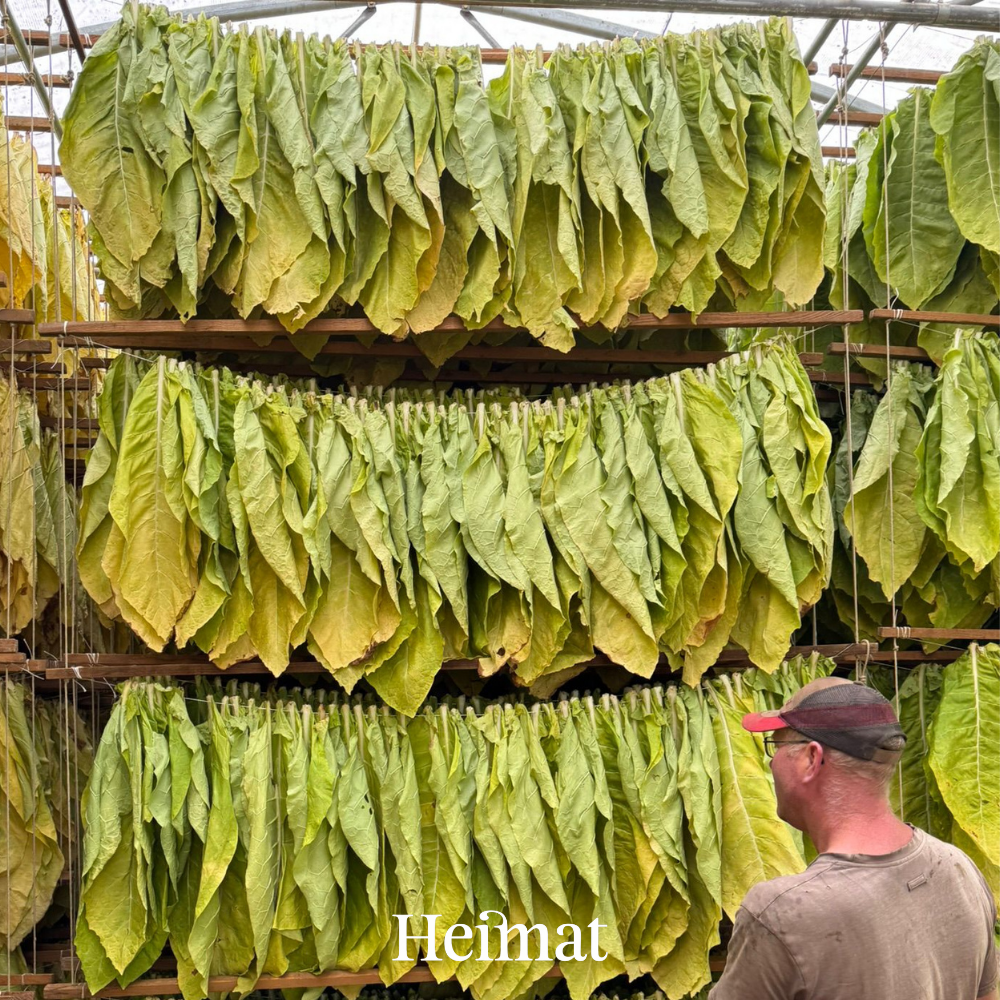 Heimat MYO Hell 250g