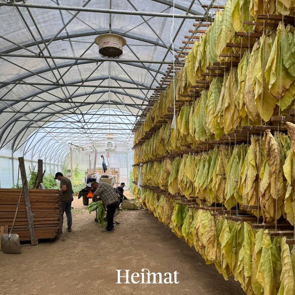 Heimat MYO Hell 250g