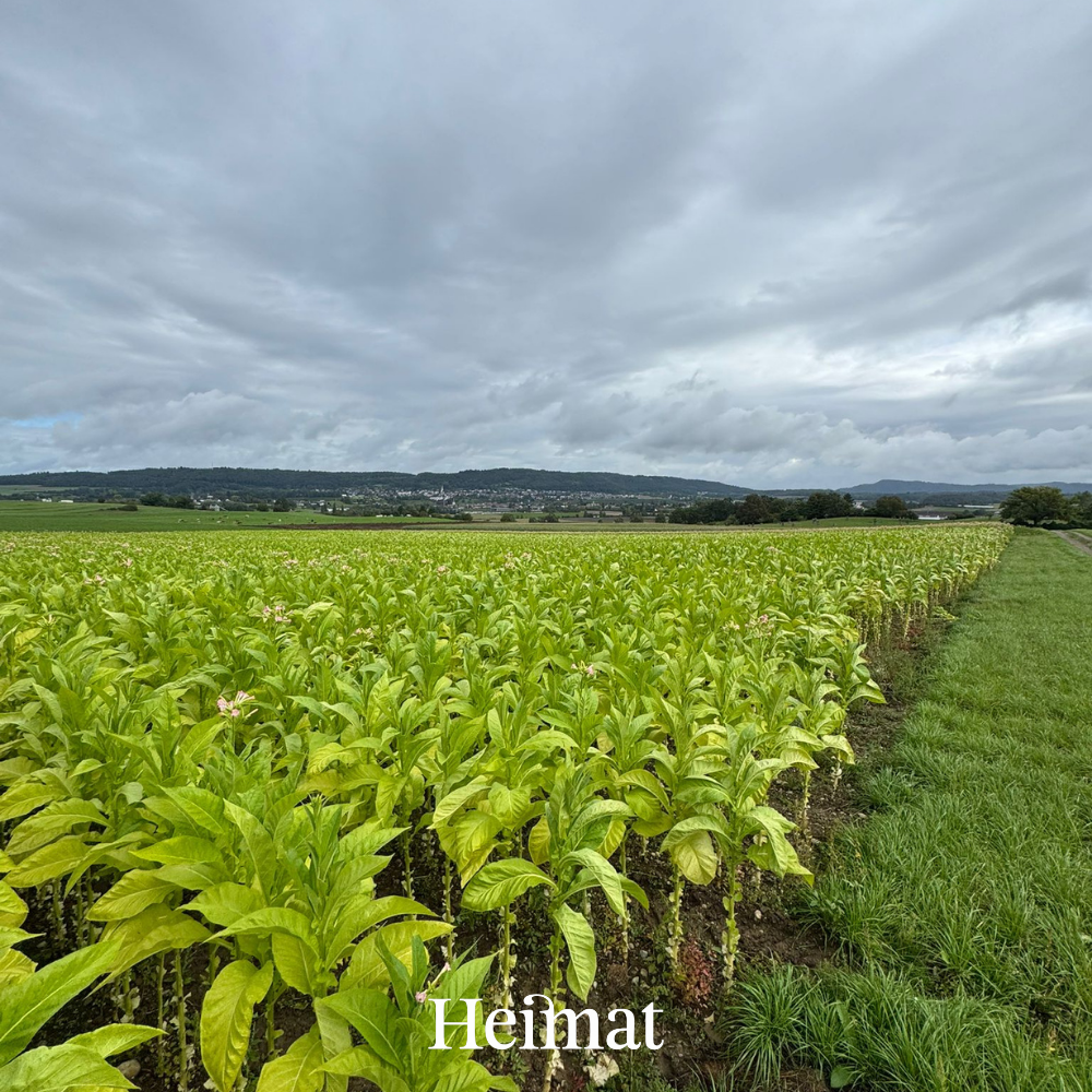 Heimat Original - Dunkel