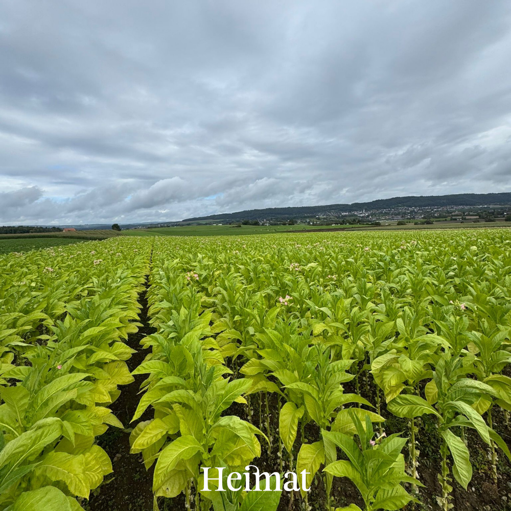 Heimat Original - Hell