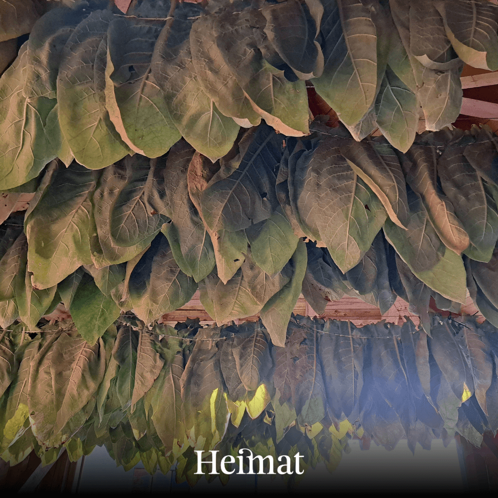 Heimat MYO Hell 250g