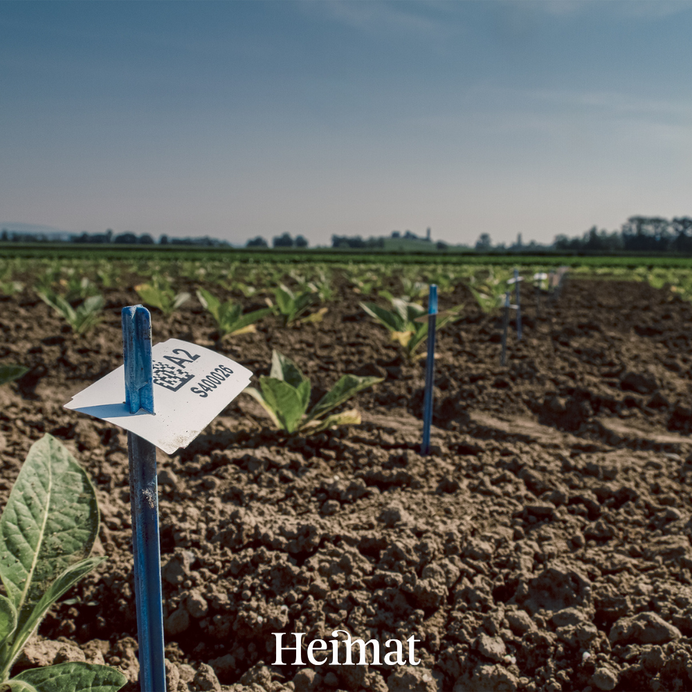 Heimat MYO Dunkel 250g