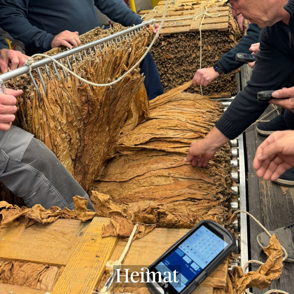 Heimat MYO Hell 250g