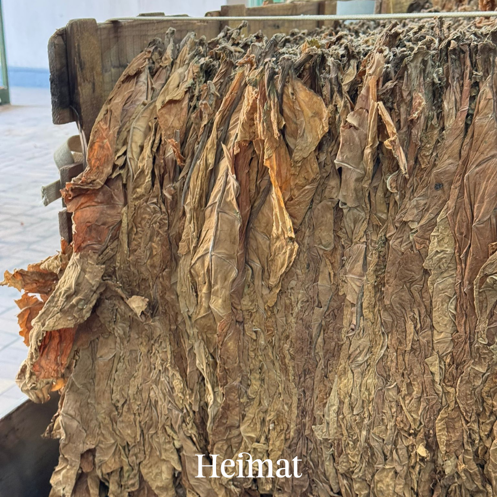 Heimat MYO Hell 250g