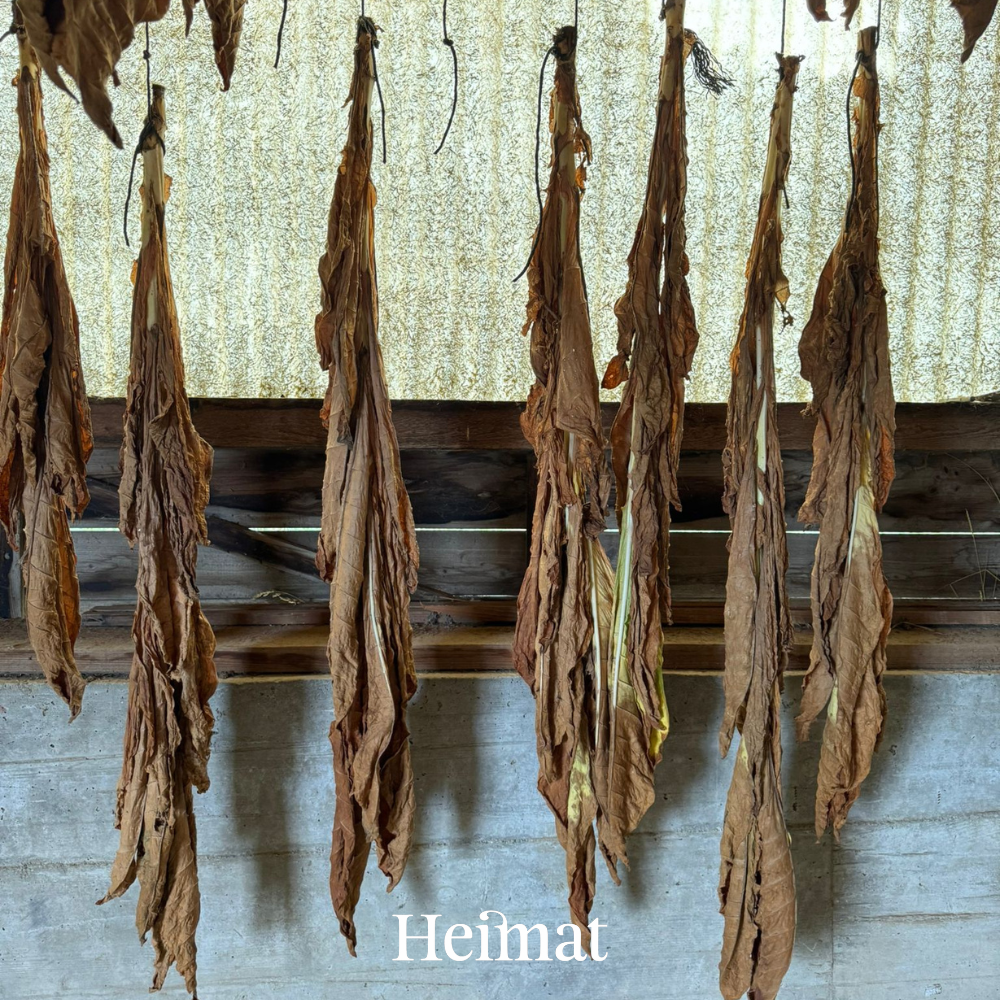 Heimat RYO Dunkel 80g