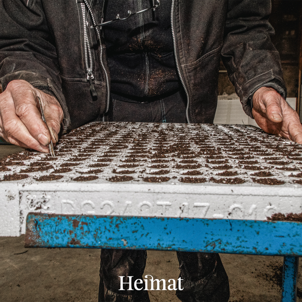 Heimat Original - Dunkel