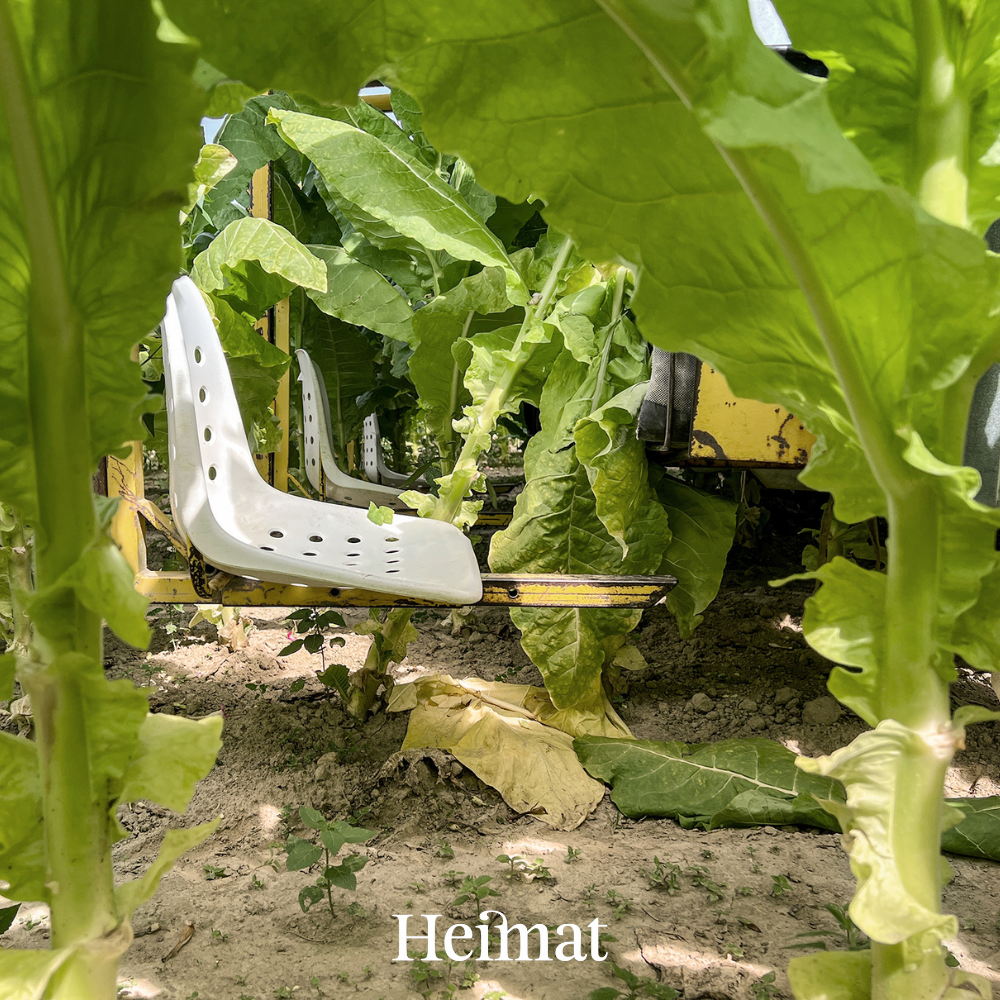 Heimat Original - Dunkel