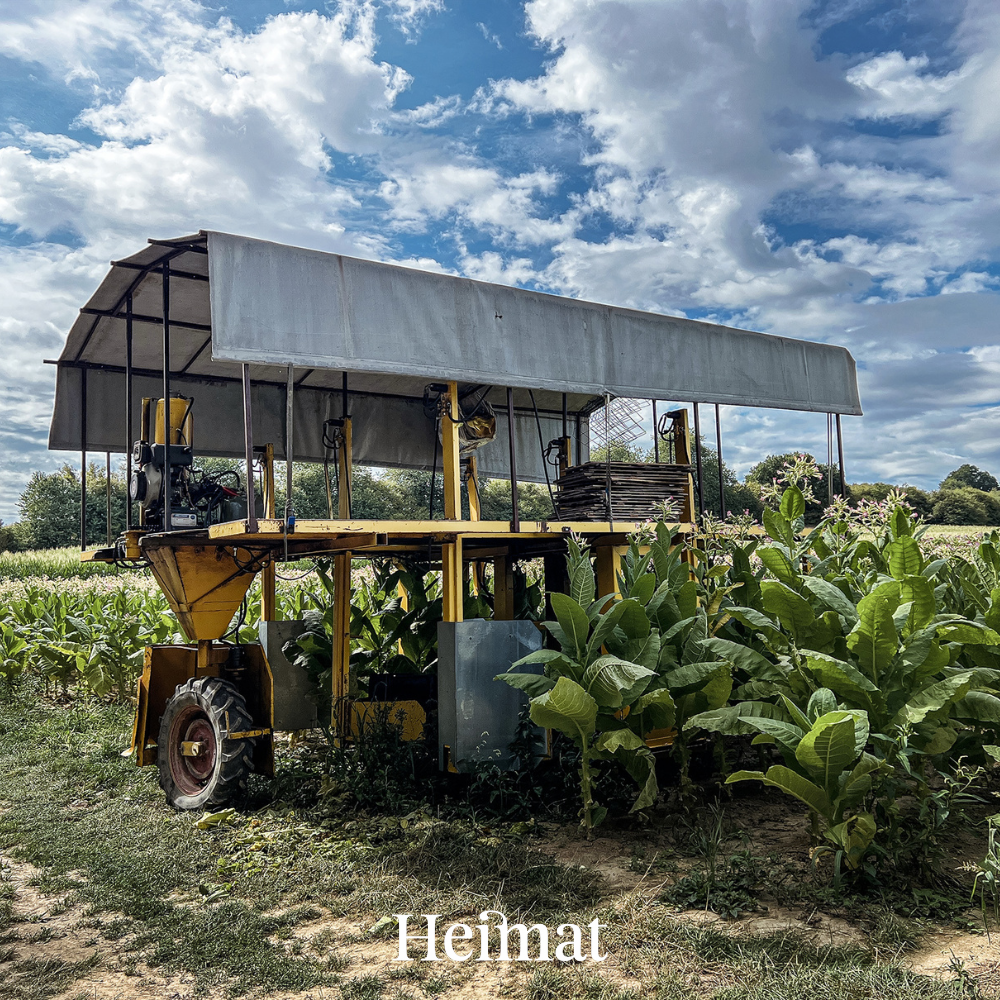 Heimat Original - Hell