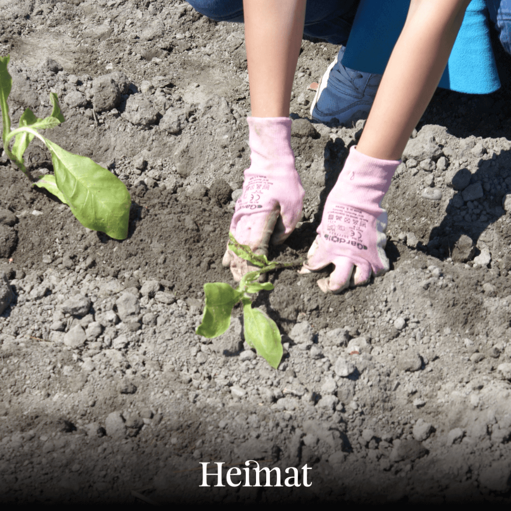 Heimat Zigaretten Dunkel